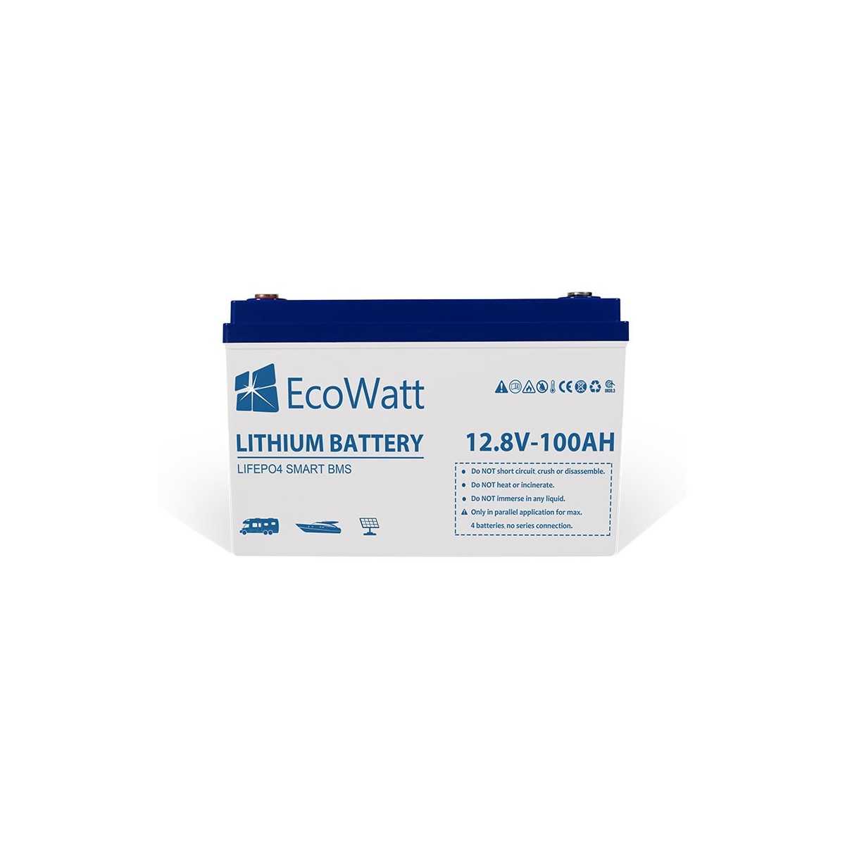 Ecowatt Batteria al Litio LiFePO4 12.8V 100Ah BMS Smart integrato