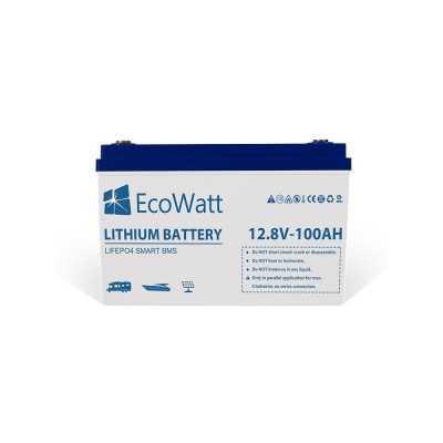 Ecowatt Batteria al Litio LiFePO4 12.8V 100Ah BMS Smart integrato