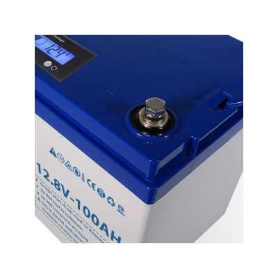 Ecowatt 12.8V 100Ah LiFePO4 Battery with integrated BMS Smart