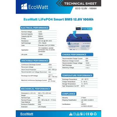 Ecowatt 12.8V 100Ah LiFePO4 Battery with integrated BMS Smart