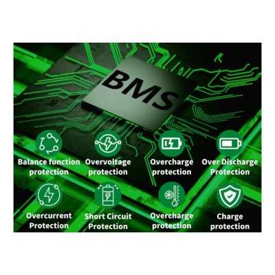 TopSolar Batteria al Litio LiFePO4 12.8V 100Ah BMS Smart integrato