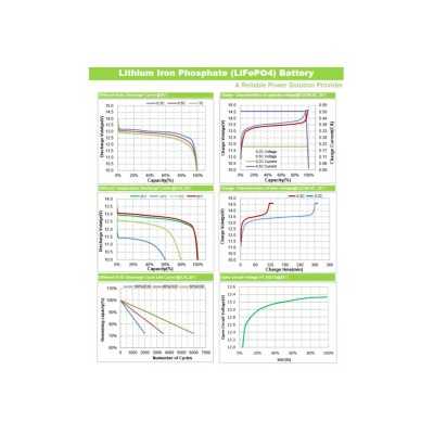 TopSolar Batteria al Litio LiFePO4 12.8V 100Ah BMS Smart integrato